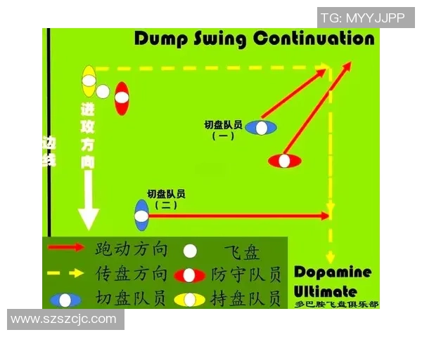 重庆飞盘队技术分析与战术创新的深度探讨与展望